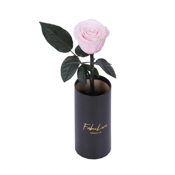 IMG_0217-_6.jpg Classic Single Eternal Rose