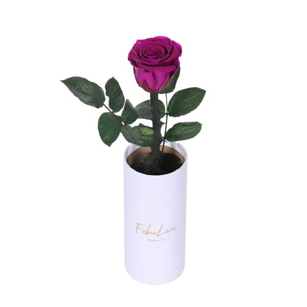 IMG_0220.jpg Classic Single Eternal Rose