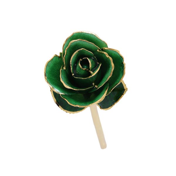 IMG_0386.jpg 24k Gold Dipped Rose