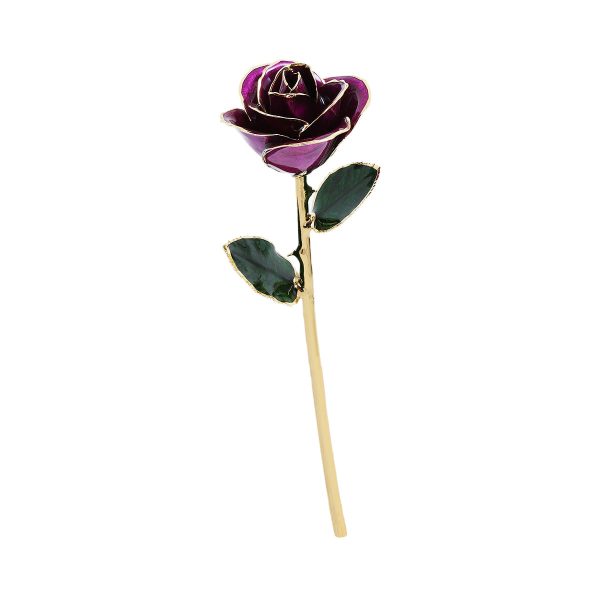 IMG_0388.jpg 24k Gold Dipped Rose