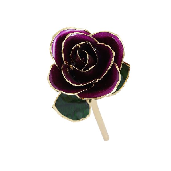 IMG_0389.jpg 24k Gold Dipped Rose
