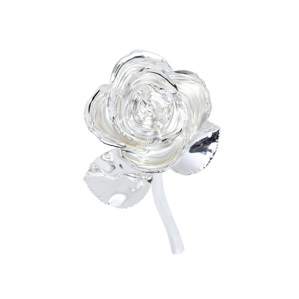 IMG_0398.jpg 24k Gold Dipped Rose