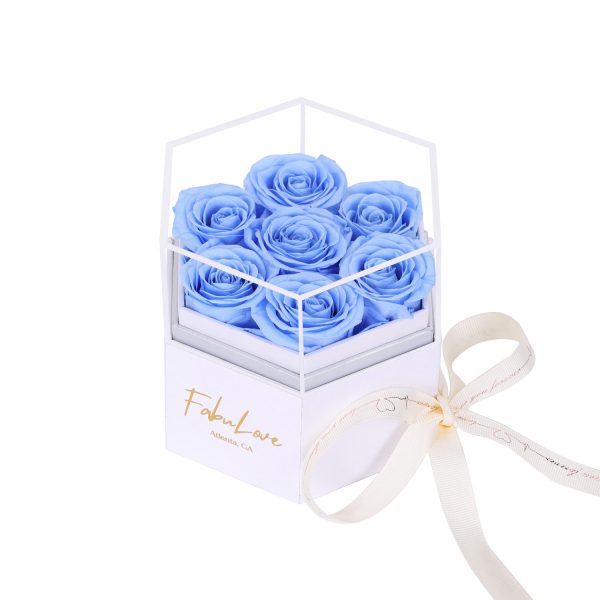 IMG_9921.jpg Eternal Rose Sliding Surprise Box