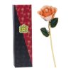 Peach.jpg 24k Gold Dipped Rose