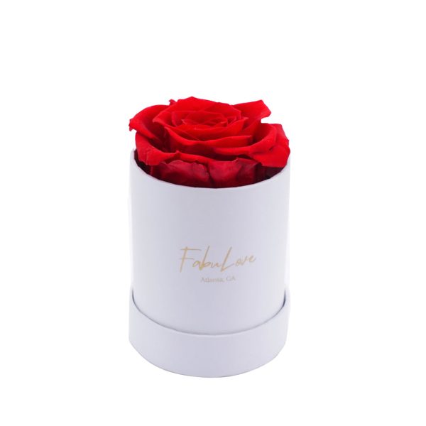White1.jpg Single Eternal Rose Box - Circular