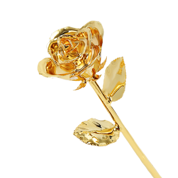 gold_96376831-8b21-4263-8592-95323fcb03f5.png 24k Gold Dipped Rose