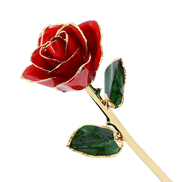 redclose.png 24k Gold Dipped Rose